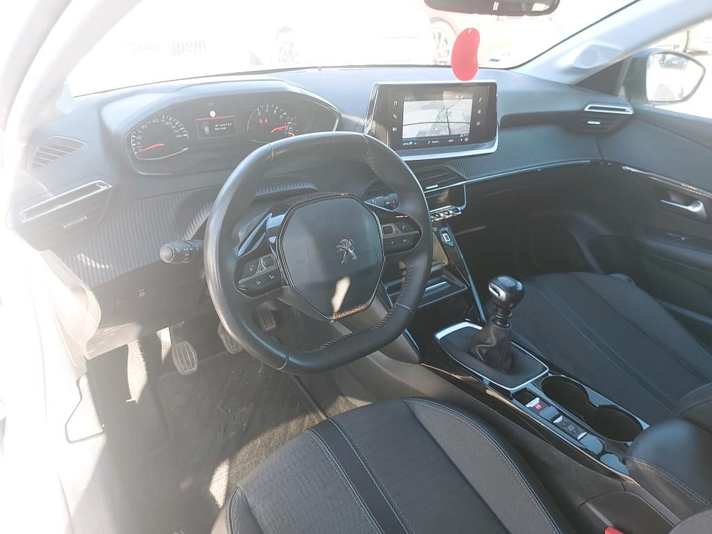Miniatura 12